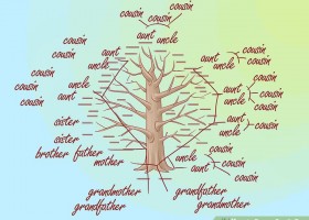 How to Draw a Family Tree | Recurso educativo 772536
