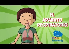 El aparato respiratorio | Recurso educativo 772981