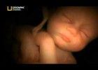Las sensaciones intrauterinas de un bebe | Recurso educativo 773273