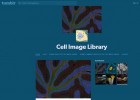 Librería de imágenes de la célula | Recurso educativo 773986