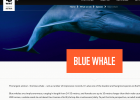 Balena blava | Recurso educativo 785433