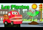 Aprendemos sobre plantas | Recurso educativo 787504