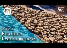 Transhumancia | Recurso educativo 789257