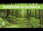 La successió ecològica | Recurso educativo 789919