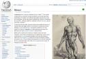 El teixit muscular | Recurso educativo 17750