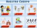 Tema interactivo: Cuerpo Humano | Recurso educativo 7400