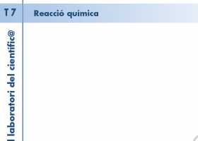 T. 7 Reacció química | Recurso educativo 752820