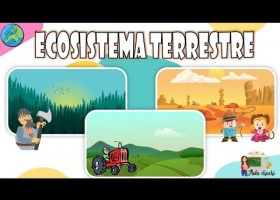 Ecosistema terrestre | Recurso educativo 787503